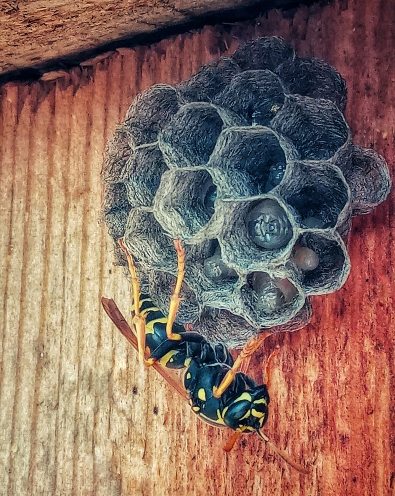 Photograph by Александра Лукашевич