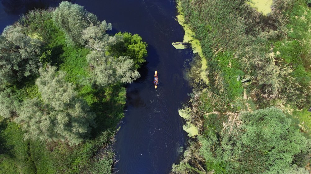 Фотография автора ТАРАСОВ ЕВГЕНИЙ