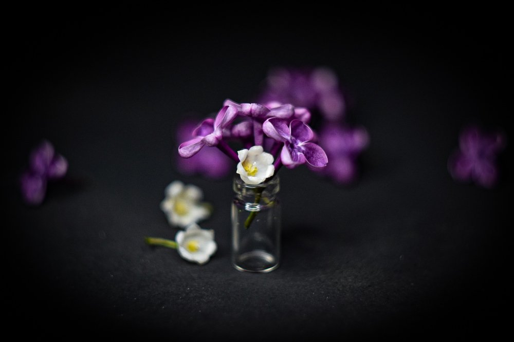 Photograph by Александр Кириков