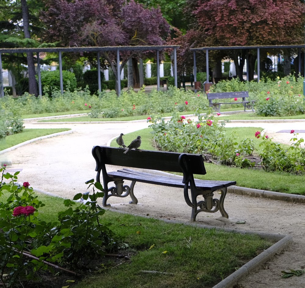 Un alto en el camino.