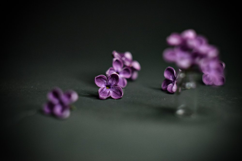 Photograph by Александр Кириков