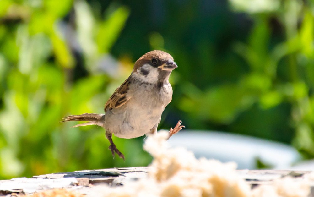 Photograph by Елена Прохорова