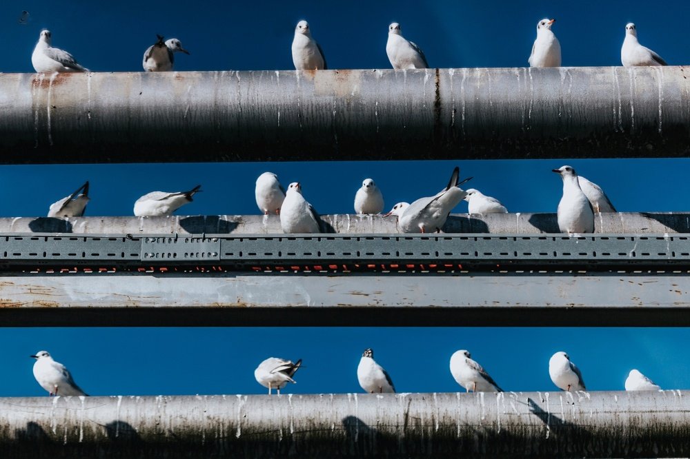 Photograph by Giga Kokoladze