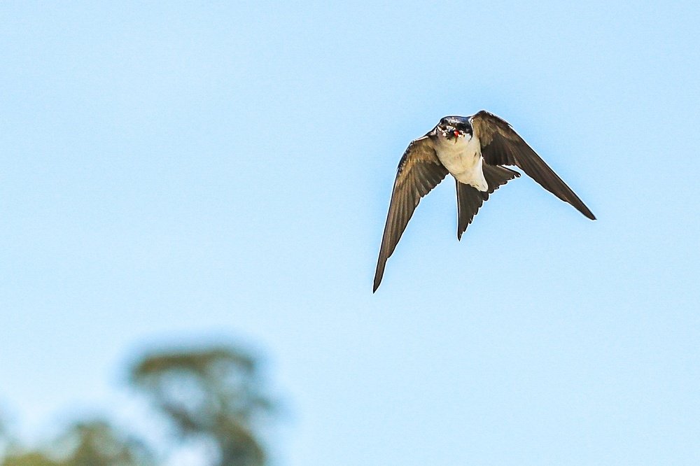 Photograph by Giga Kokoladze