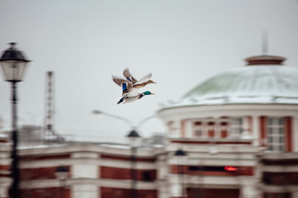 Photograph by Беляков дима