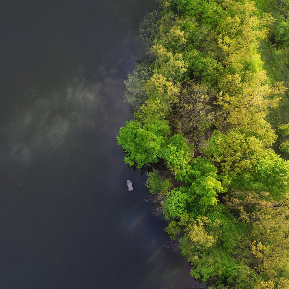 Фотография автора ТАРАСОВ ЕВГЕНИЙ