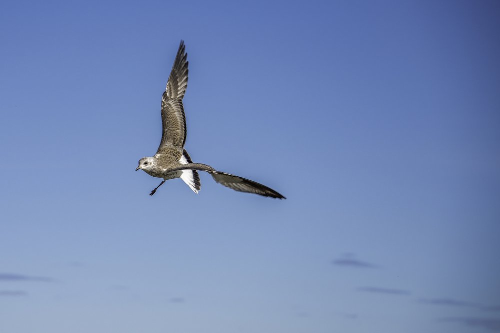 Photograph by Кадырова Марина