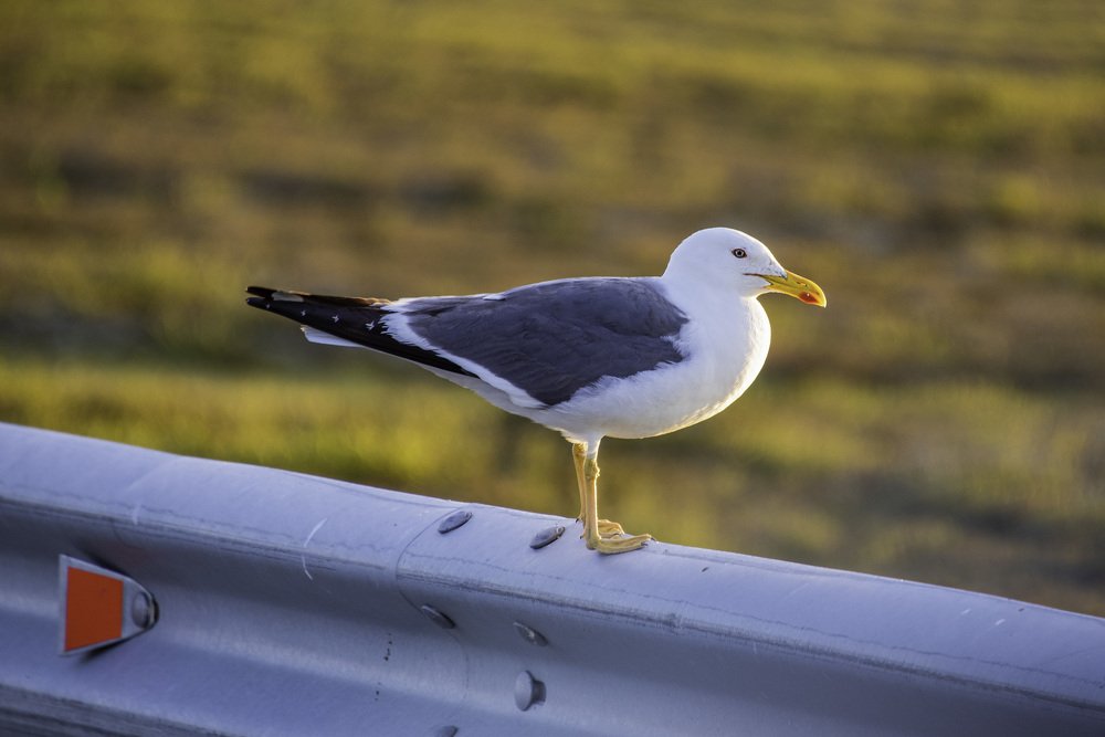 Photograph by Кадырова Марина