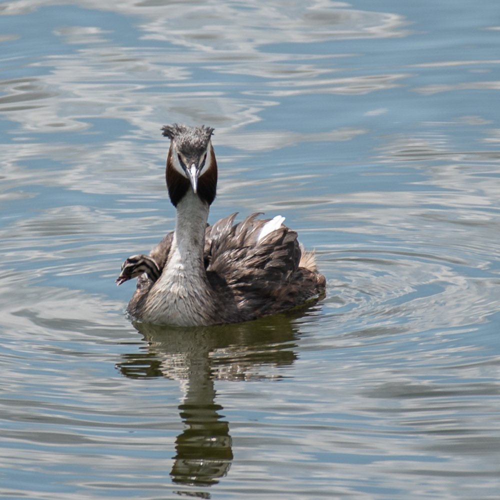 Photograph by Дмитрий Крючков