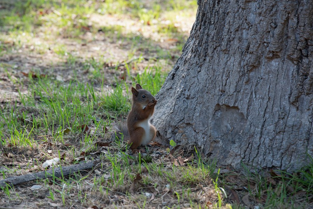 Photograph by Дмитрий Крючков