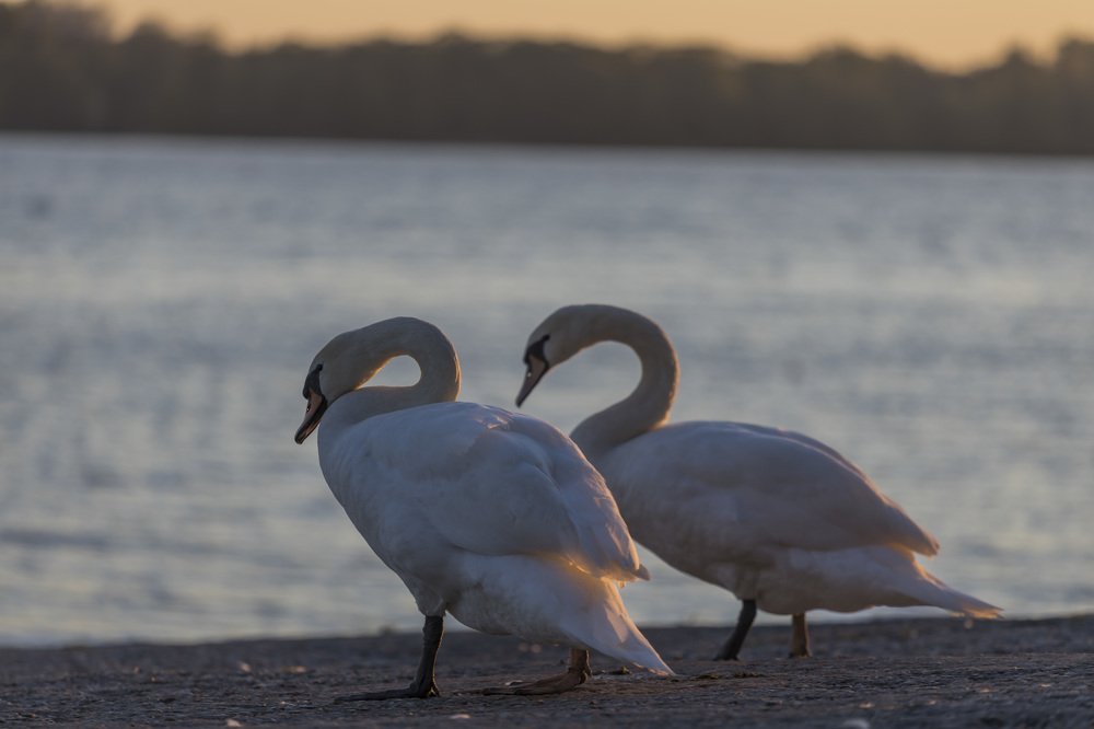 Photograph by Juris Kraulis