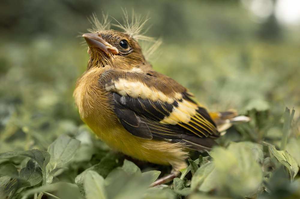 Photograph by Juris Kraulis