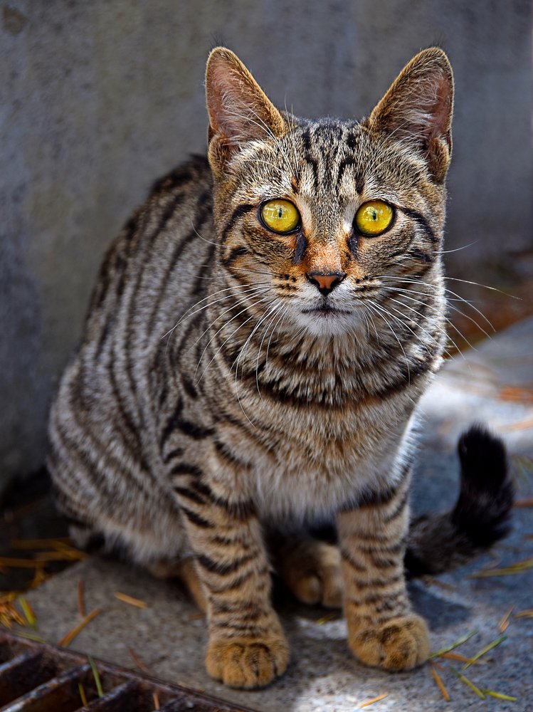 Photograph by Kiril Mucevski