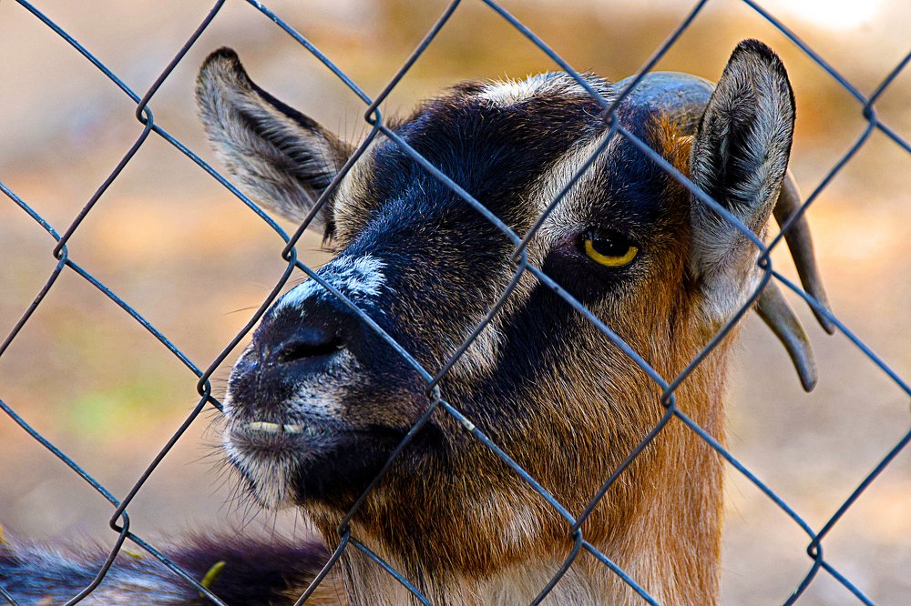 Photograph by Kiril Mucevski