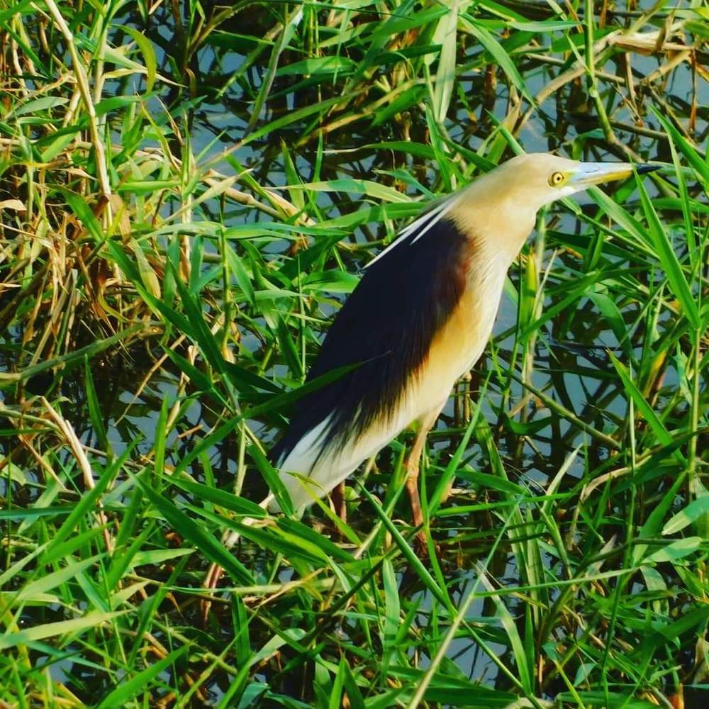 Photograph by Diwakaran D