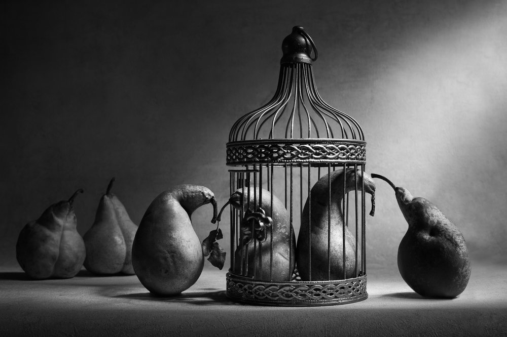 Photograph by Вика Иванова