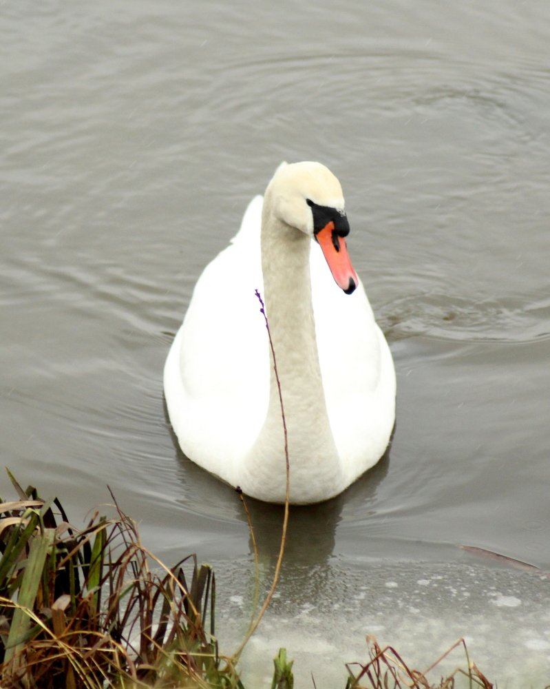 Photograph by Игорь Санюк