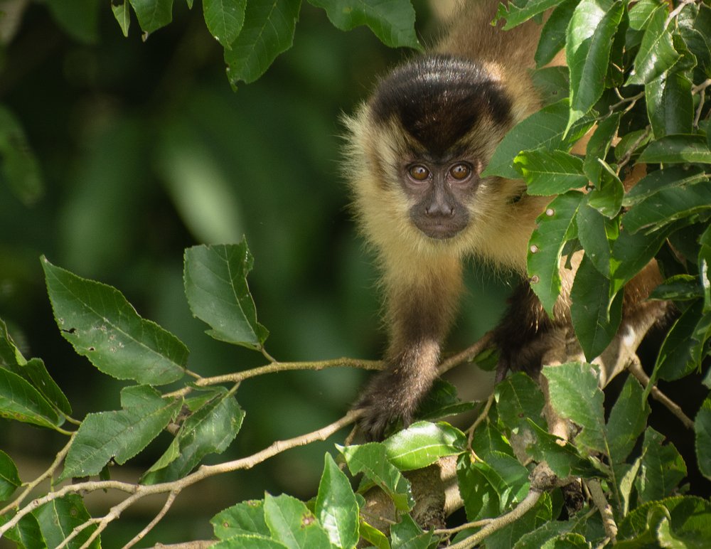 Photograph by Fabiano de Souza Vieira