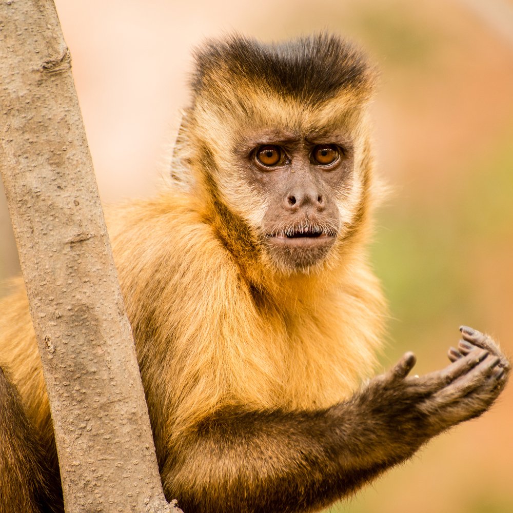 Photograph by Fabiano de Souza Vieira