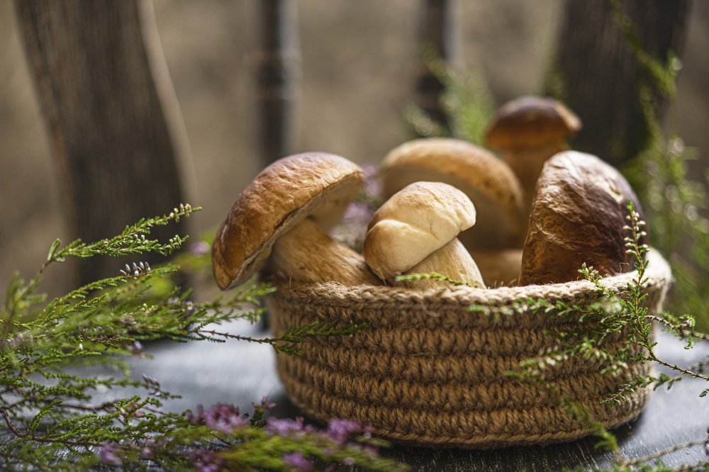 Photograph by Diana Sklarova