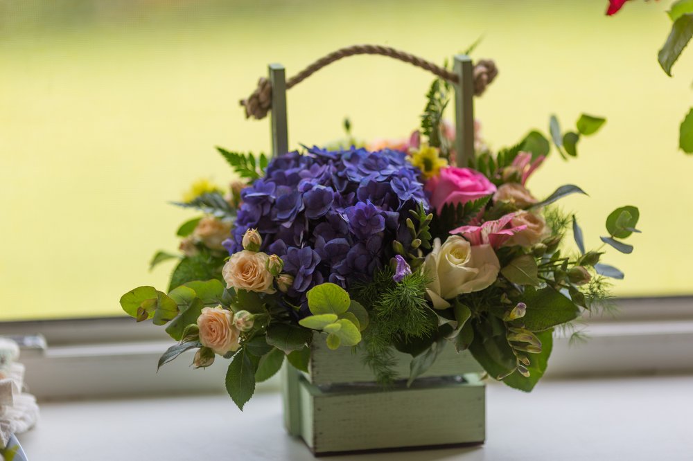 Photograph by Anna Chizh