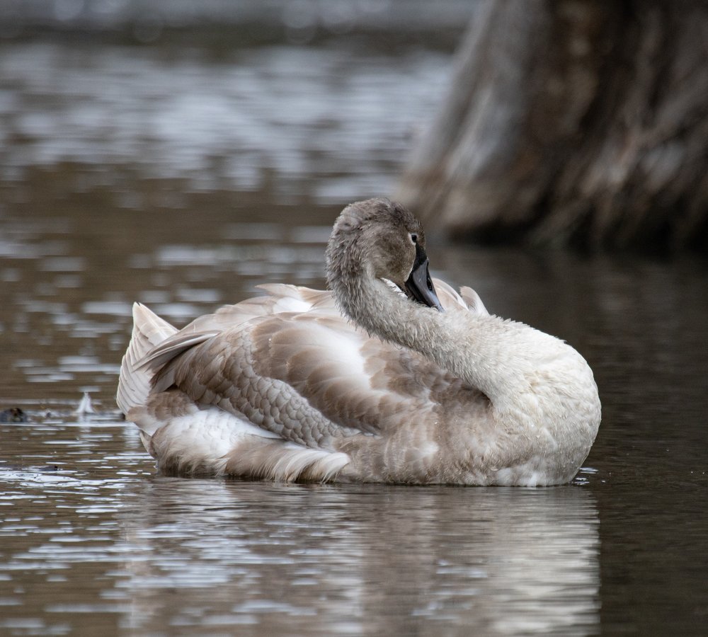 Photograph by Юрий Чернов