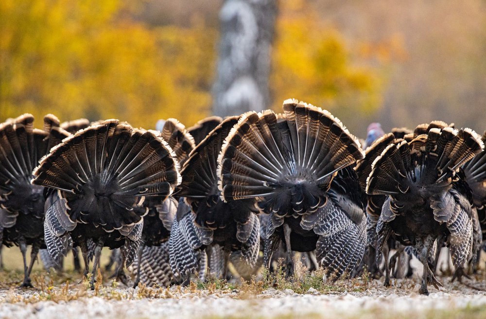 Photograph by Юрий Чернов