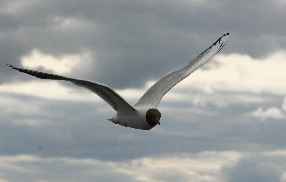 Photograph by Юрий Чернов