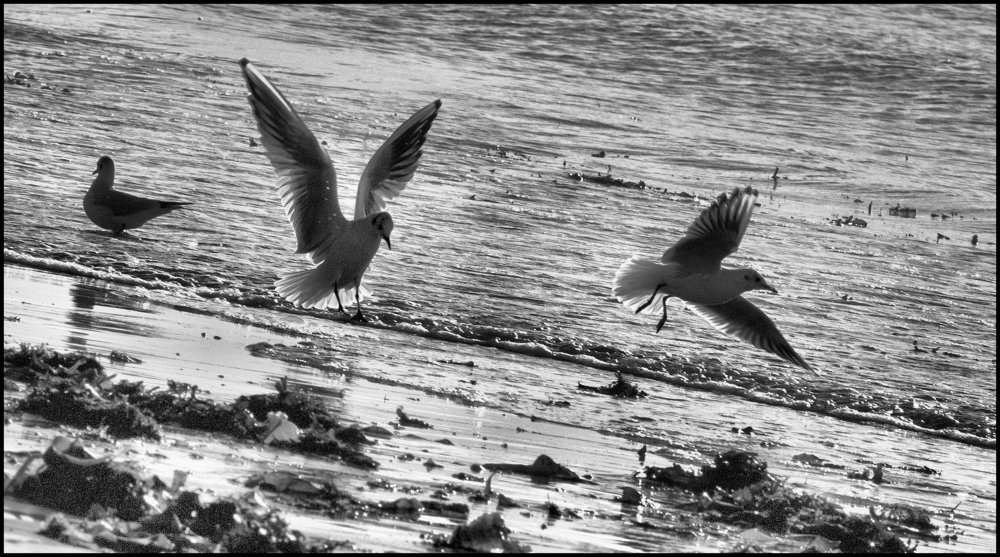 Photograph by Юрий Чернов