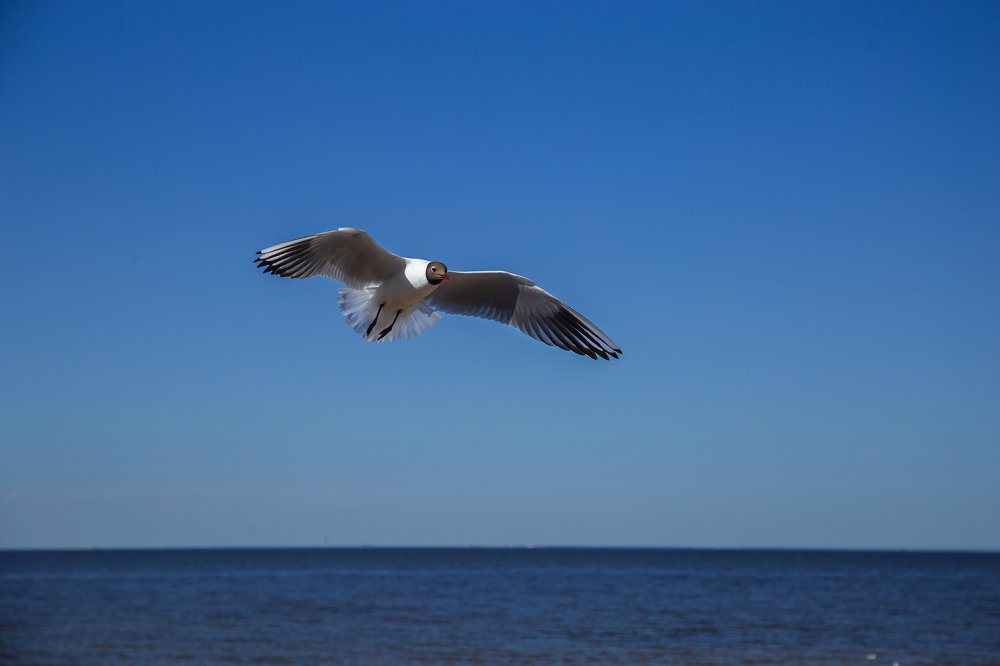 Photograph by Наталья Золотарева