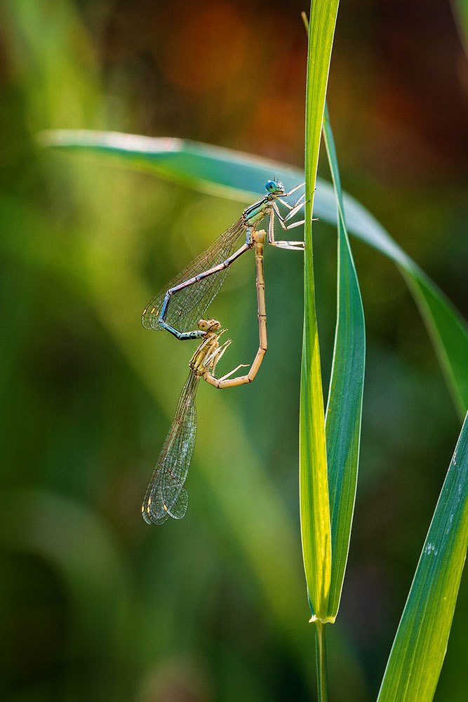 Photograph by Inga Tokar