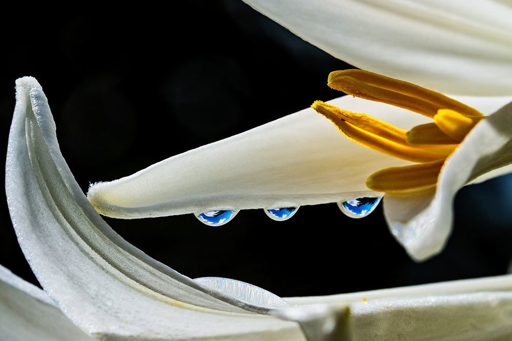 Photograph by Inga Tokar