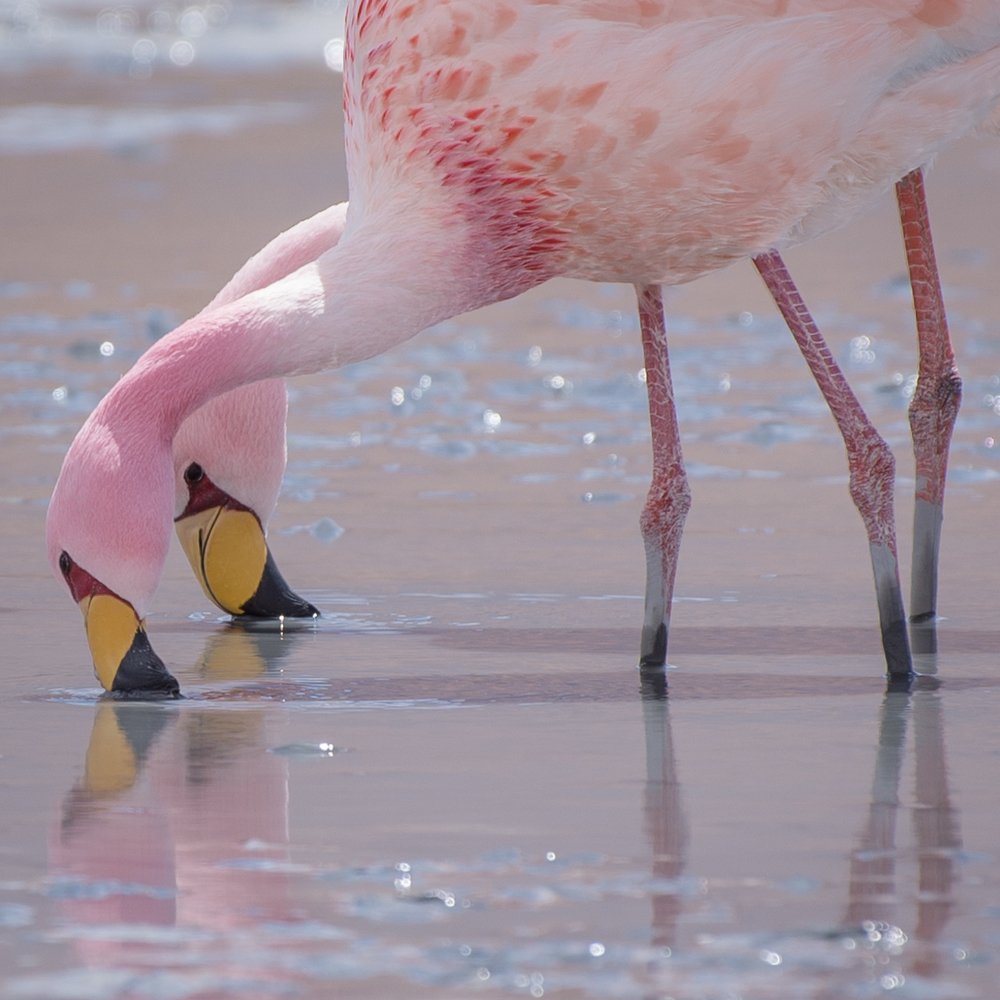 Photograph by Fabiano de Souza Vieira