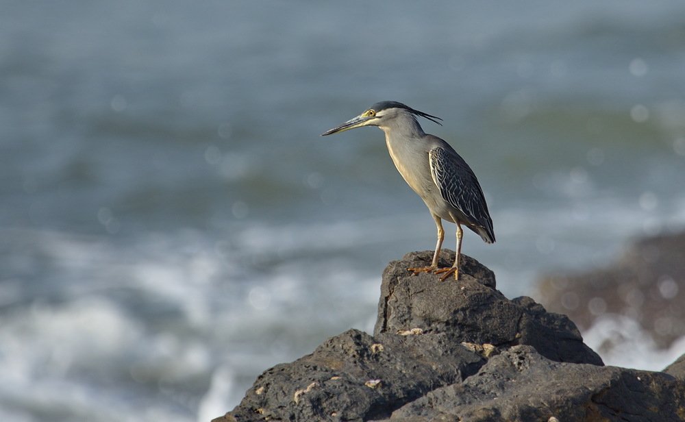 Photograph by Александр Столяров