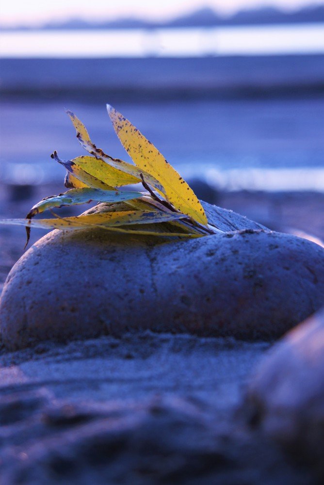 Photograph by Ольга Сергиенко
