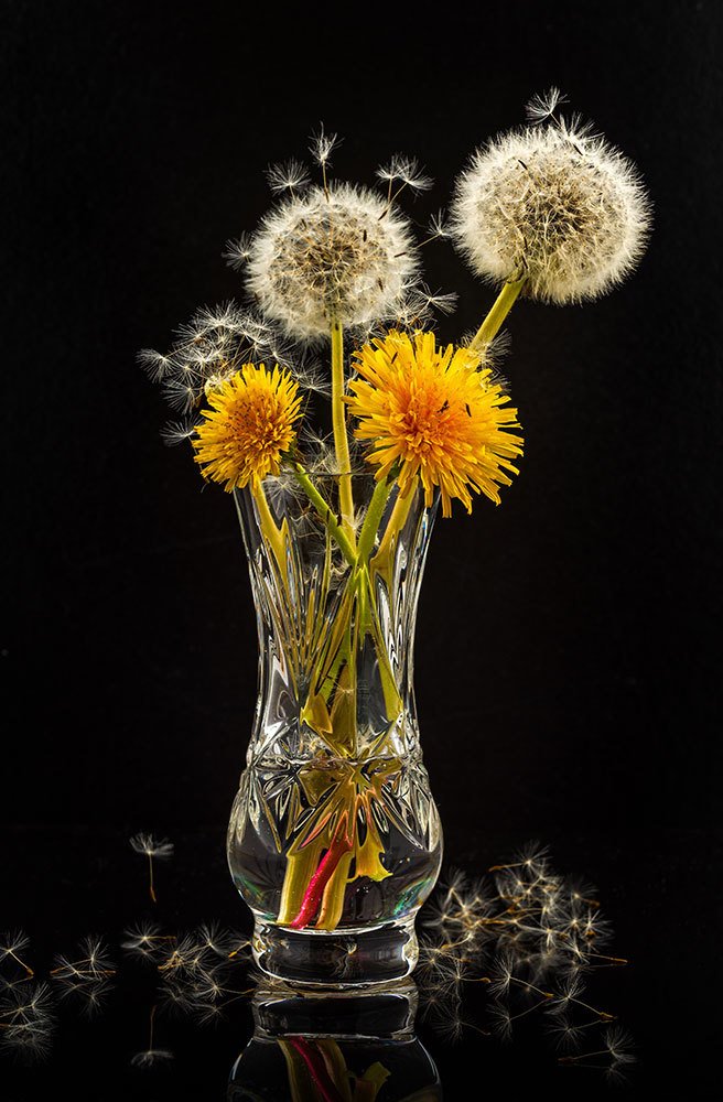 Photograph by Inga Tokar