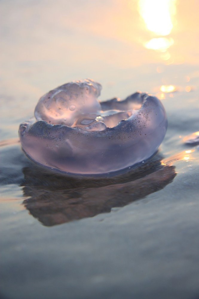 Photograph by Ольга Сергиенко