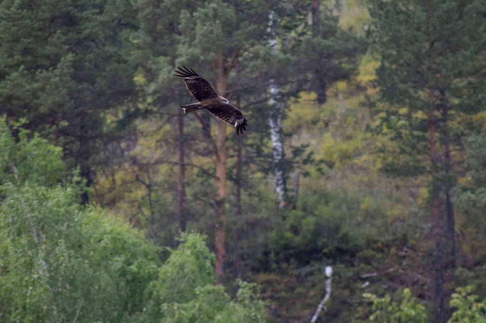 Photograph by Александра Лукашевич