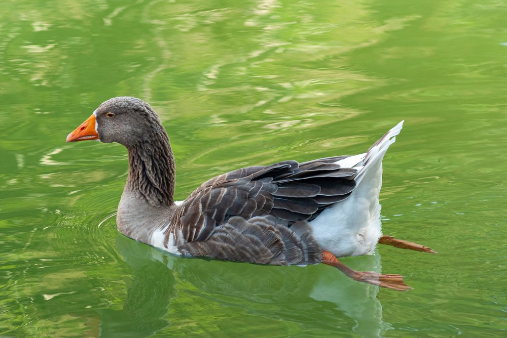 Photograph by Денис Кичев