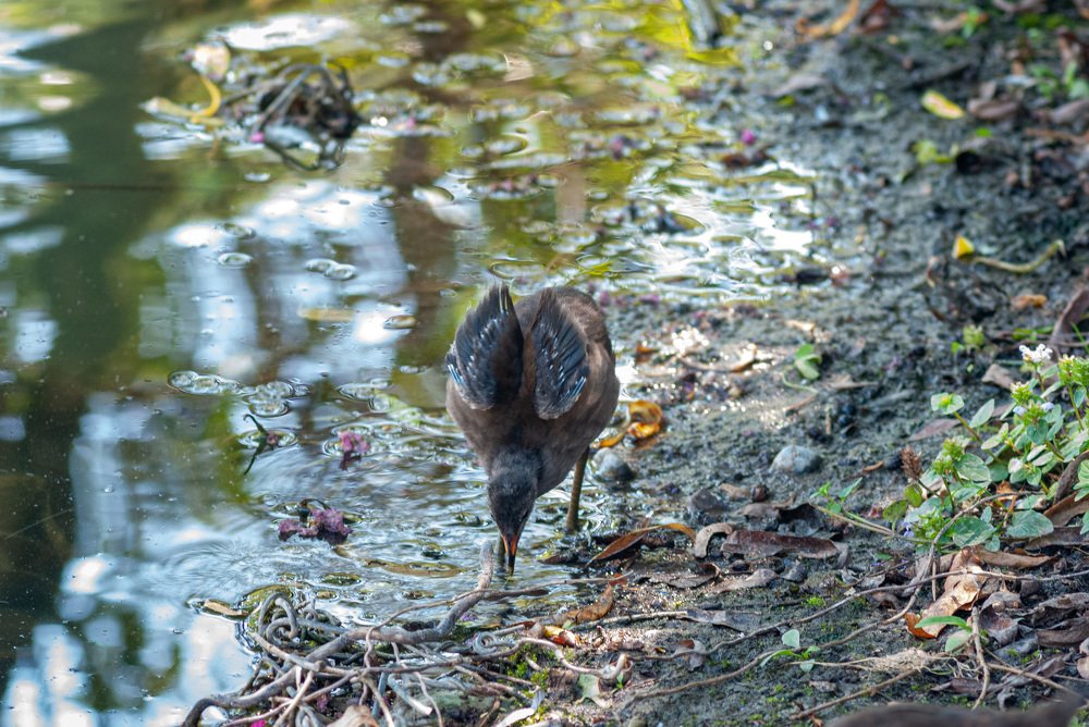 Photograph by Денис Кичев