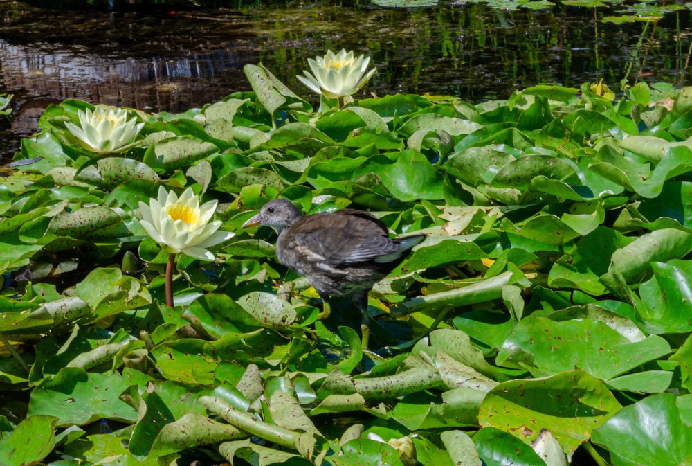 Photograph by Денис Кичев