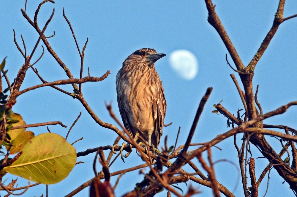 Photograph by Andre Nunes