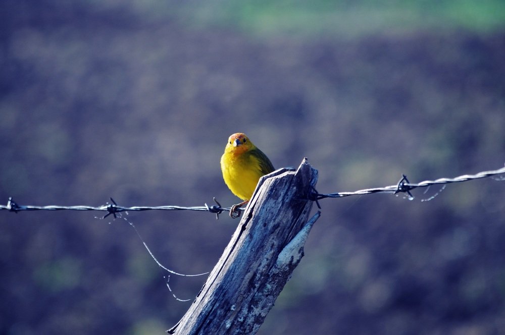 Photograph by Andre Nunes