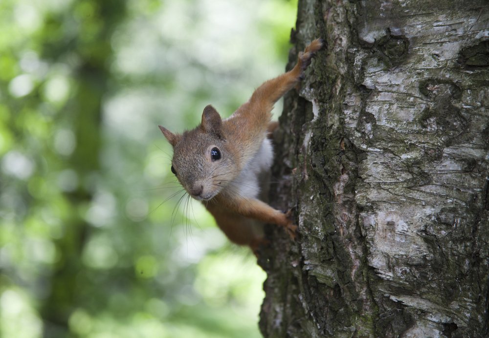 Photograph by Мария Самоловова