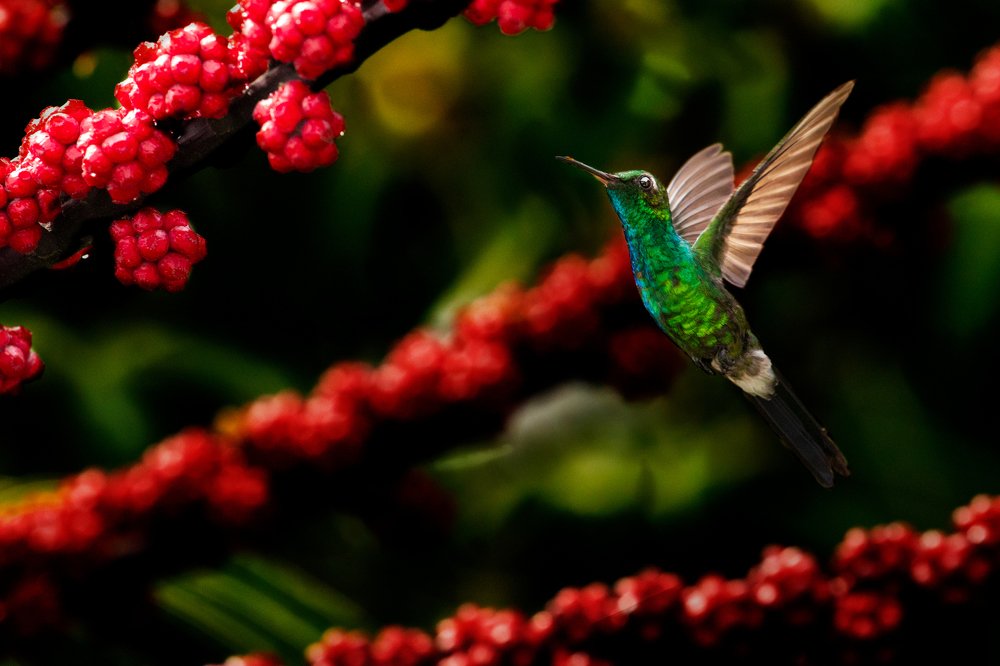 Photograph by Randy Betancourt