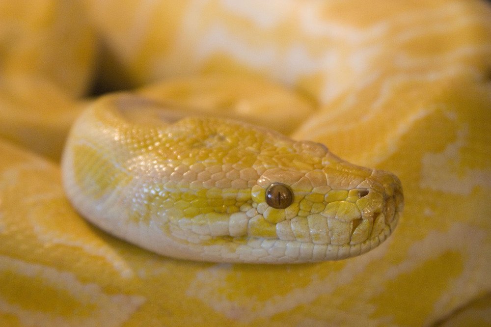 Photograph by Мария Самоловова