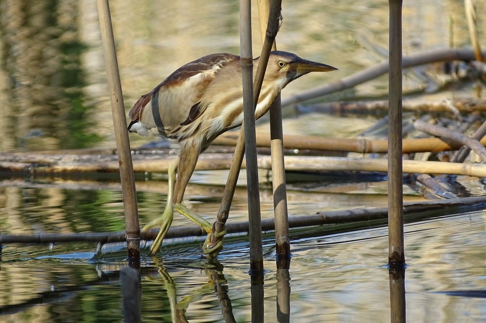 Photograph by Татьяна Калугина