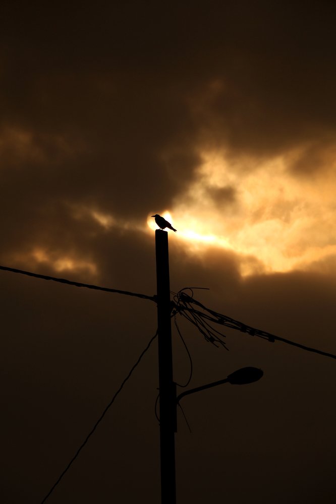 Photograph by hamed farahpour