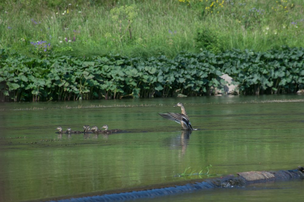 Photograph by Александра Лукашевич