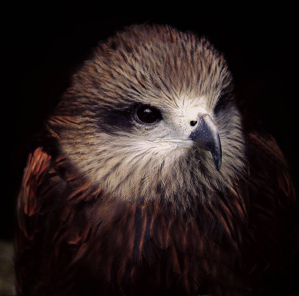 Photograph by Roman Volodin